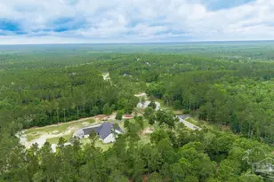 7368 Buffalo Ridge Rd, Pace, FL 32571 - Photo 48