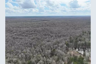 1041 Freedom Rd, Century, FL 32535 - Photo 4