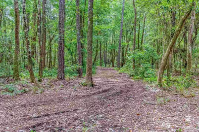 6749 Oser Rd, Milton, FL 32570 - Photo 56