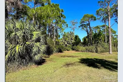 0 Cape San Blas Rd, Port Saint Joe, FL 32456 - Photo 6