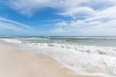 13661 Perdido Key Dr #1406, Perdido Key, FL 32507 - Photo 48