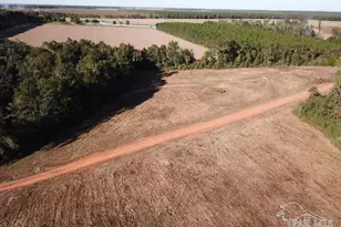 5 Acres Ard Field Rd, Jay, FL 32565 - Photo 1