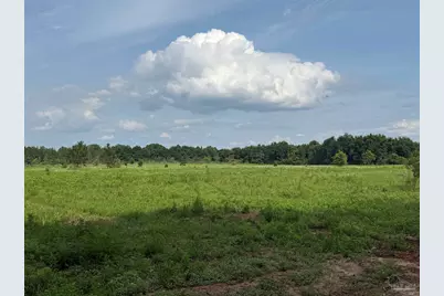 0100 Mineral Springs Rd, Jay, FL 32565 - Photo 12