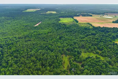 0100 Mineral Springs Rd, Jay, FL 32565 - Photo 8