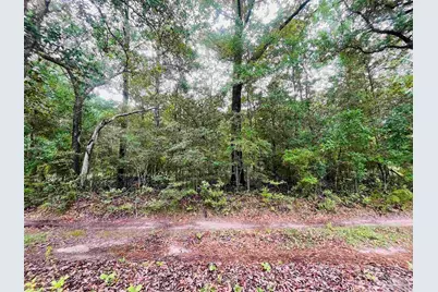 1234 Hutto Parker Rd, Milton, FL 32564 - Photo 1