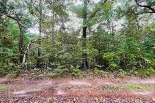 1234 Hutto Parker Rd, Milton, FL 32564 - Photo 1