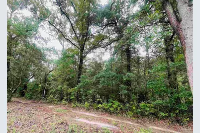 1234 Hutto Parker Rd, Milton, FL 32564 - Photo 4