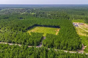 Lot L Indian Ford Rd, Milton, FL 32570 - Photo 1