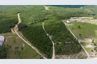 30 Acres Treetop Ridge Dr, Pace, FL 32571 - Photo 10