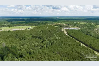 30 Acres Treetop Ridge Dr, Pace, FL 32571 - Photo 14