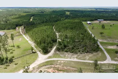 30 Acres Treetop Ridge Dr, Pace, FL 32571 - Photo 6