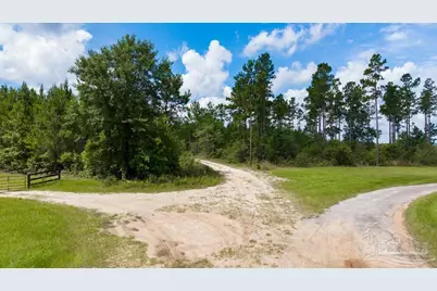 30 Acres Treetop Ridge Dr, Pace, FL 32571 - Photo 16