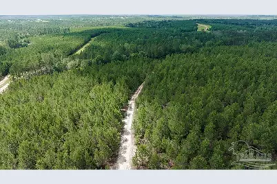 30 Acres Treetop Ridge Dr, Pace, FL 32571 - Photo 8