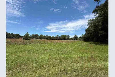 296 Salters Lake Rd, Century, FL 32535 - Photo 8
