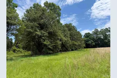296 Salters Lake Rd, Century, FL 32535 - Photo 14