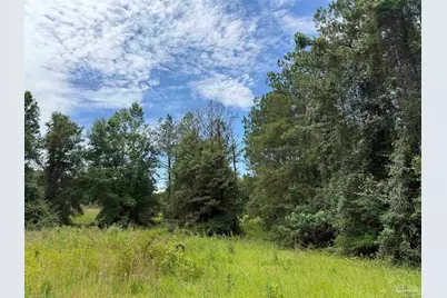 296 Salters Lake Rd, Century, FL 32535 - Photo 34