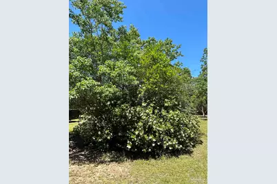 10201 Pilgrim Trl, Molino, FL 32577 - Photo 6