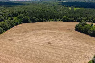 2732 Hwy 4, Jay, FL 32565 - Photo 1