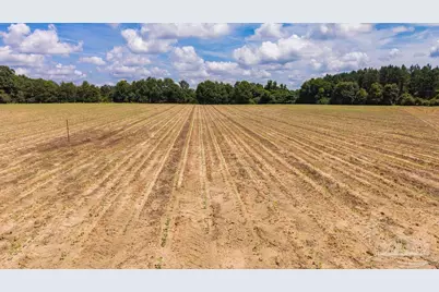2732 Hwy 4, Jay, FL 32565 - Photo 16