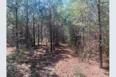 1000 Blk Hwy 97, Molino, FL 32577 - Photo 12