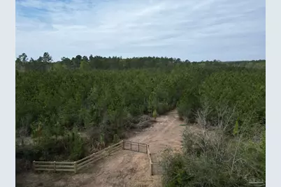 1000 Blk Hwy 97, Molino, FL 32577 - Photo 2