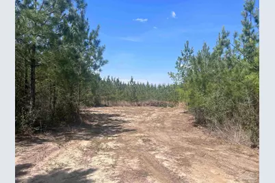 1000 Blk Hwy 97, Molino, FL 32577 - Photo 14