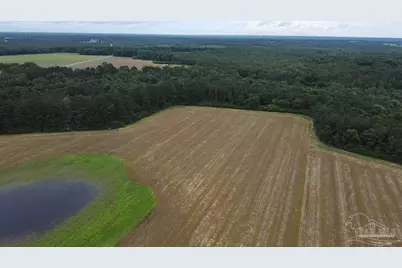 7600 Block Bratt Rd, Century, FL 32535 - Photo 12
