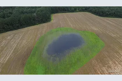 7600 Block Bratt Rd, Century, FL 32535 - Photo 10