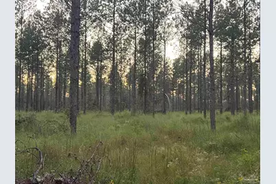 Lot 6 Wallace Lake Rd, Pace, FL 32571 - Photo 2