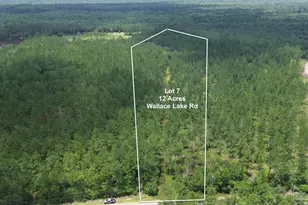 Lot 7 Wallace Lake Rd, Pace, FL 32571 - Photo 1