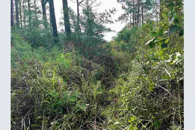 1200 Cuddle Doon Ave, Milton, FL 32583 - Photo 6