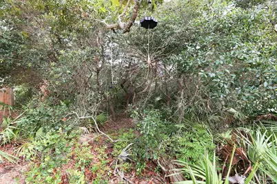0 Dalton St #Lot 37, Santa Rosa Beach, FL 32459 - Photo 16