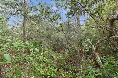 0 Dalton St #Lot 37, Santa Rosa Beach, FL 32459 - Photo 14