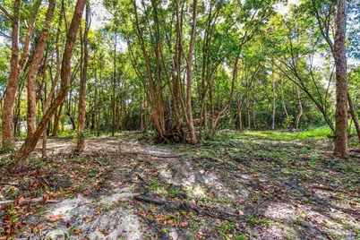 0 Ella St, Bagdad, FL 32583 - Photo 2