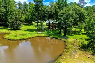 6648 St Stephens Ave, Millry, AL 36558 - Photo 40