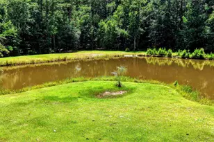 6648 St Stephens Ave, Millry, AL 36558 - Photo 44