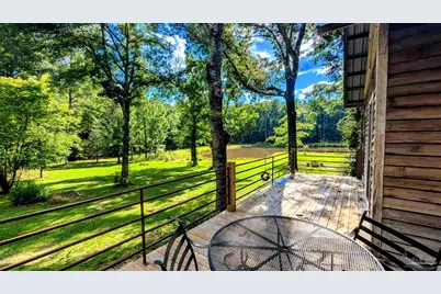6648 Saint Stephens Ave, Millry, AL 36558 - Photo 50