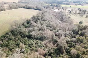 Lot 2 Hwy 4, Jay, FL 32565 - Photo 1