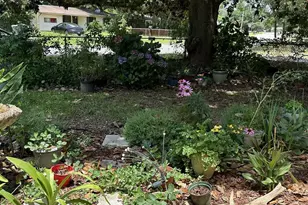 4679 Oakland Dr, Pensacola, FL 32526 - Photo 4