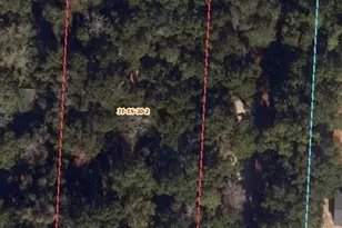 1310 Burgess Rd, Pensacola, FL 32504 - Photo 1