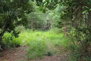 9791 Domino Rd, Milton, FL 32583 - Photo 1