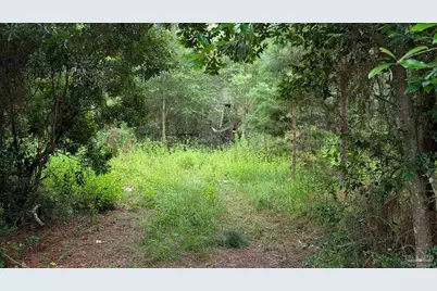 9791 Domino Rd, Milton, FL 32583 - Photo 4