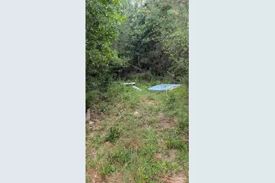 9791 Domino Rd, Milton, FL 32583 - Photo 8