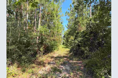 879 Dolphin Rd, Milton, FL 32583 - Photo 18