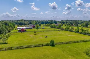 26895 C R Watson Rd, Robertsdale, AL 36567 - Photo 6