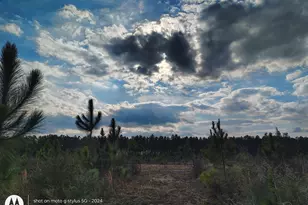 4320 Hwy 182, Jay, FL 32565 - Photo 1