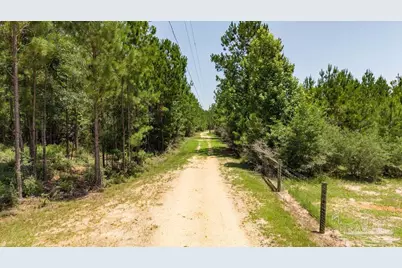 6382 Daniel Griffis Rd, Jay, FL 32565 - Photo 42