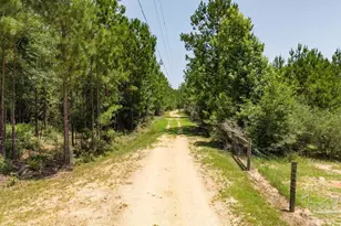 6382 Daniel Griffis Rd, Jay, FL 32565 - Photo 42