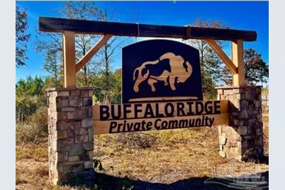 Lot 23 Buffalo Ridge Rd, Pace, FL 32571 - Photo 2