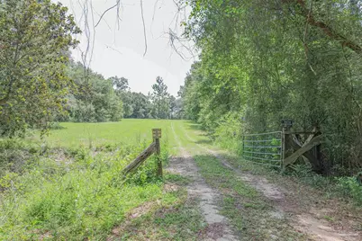 1400 Jacks Branch Rd, Cantonment, FL 32533 - Photo 4